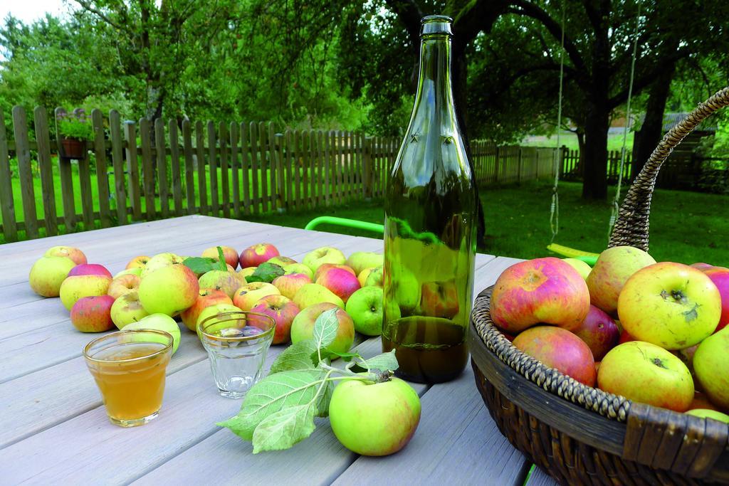 Un Gite Dans La Vallee Obersteinbach Kültér fotó