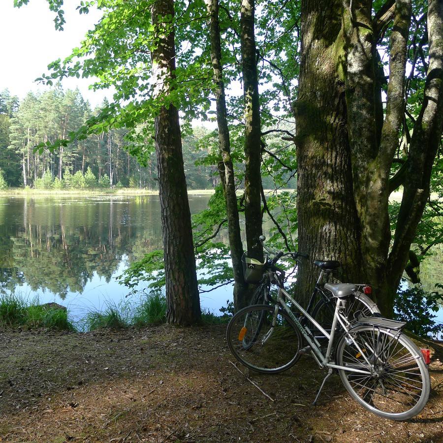 Un Gite Dans La Vallee Obersteinbach Kültér fotó