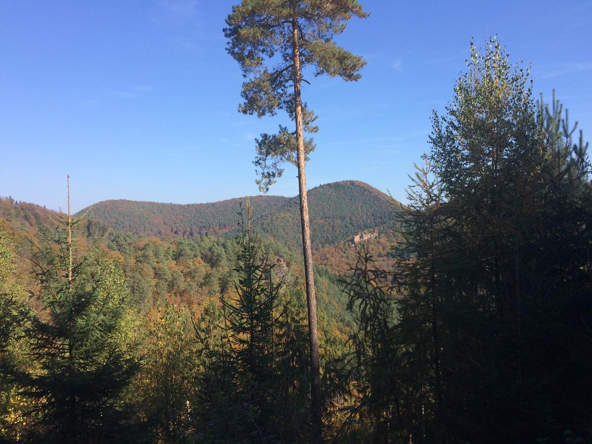 Un Gite Dans La Vallee Obersteinbach Kültér fotó