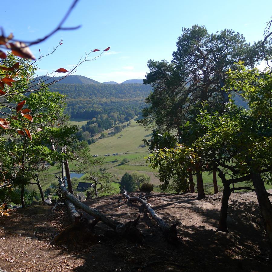 Un Gite Dans La Vallee Obersteinbach Kültér fotó
